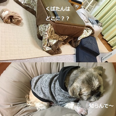 くまはちすぺさるw_f0372998_22555932.jpg