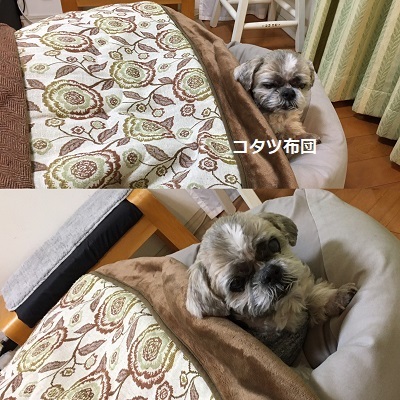 くまはちすぺさるw_f0372998_22561141.jpg
