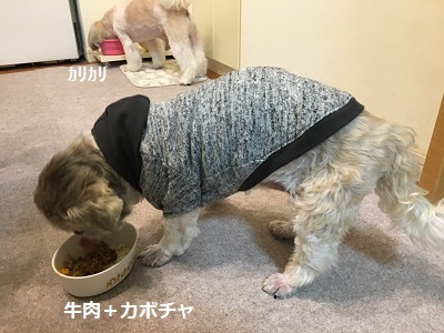 くまはちすぺさるw_f0372998_22570633.jpg