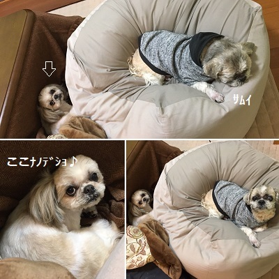 くまはちすぺさるw_f0372998_22583341.jpg