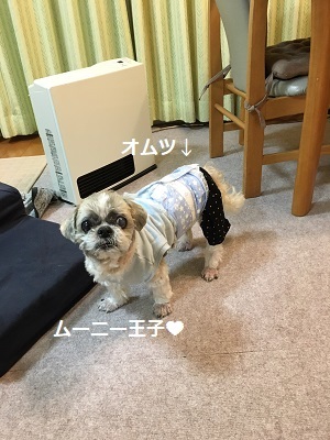 くまはちすぺさるw_f0372998_23235444.jpg