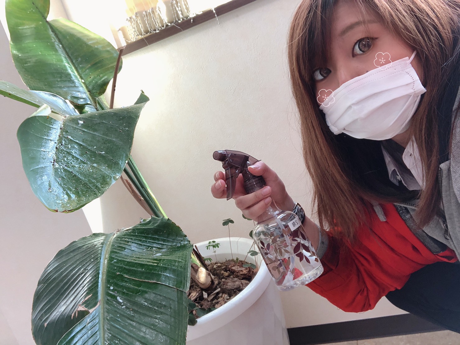 2月15日(土)T様タント納車✨ ランクル アルファード ハマー TOMMY☆_b0127002_16231312.jpg