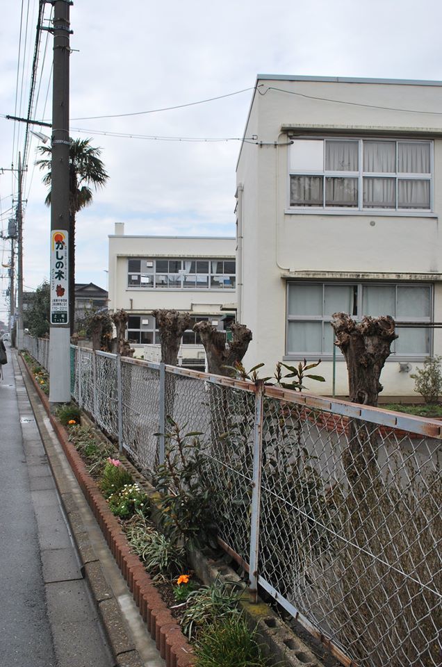 埼玉県上尾市立中央小学校第二校舎(建築家・関根要太郎作品研究)_f0142606_10345053.jpg