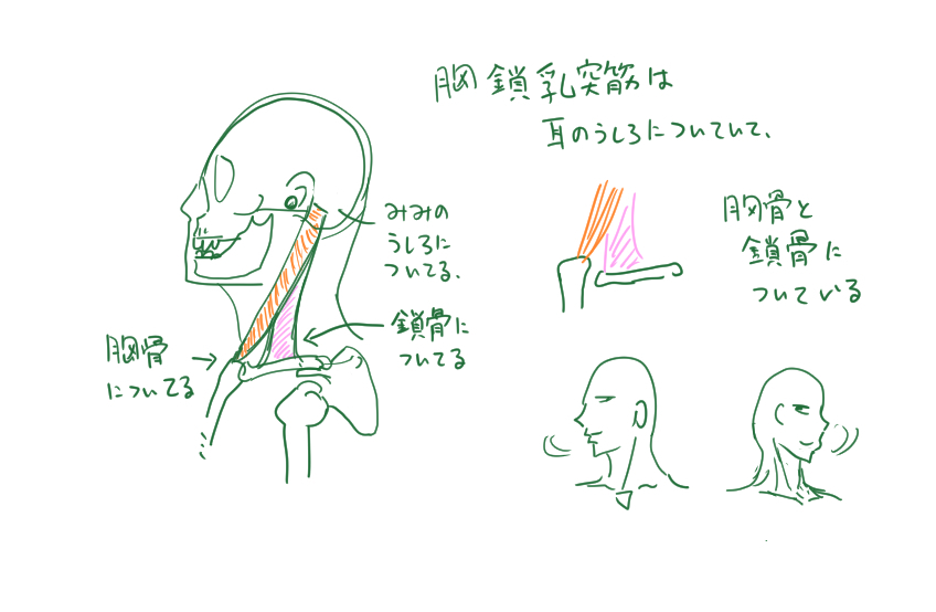 作りたい イラストその7首について学んだこと 丘野クロのブログ