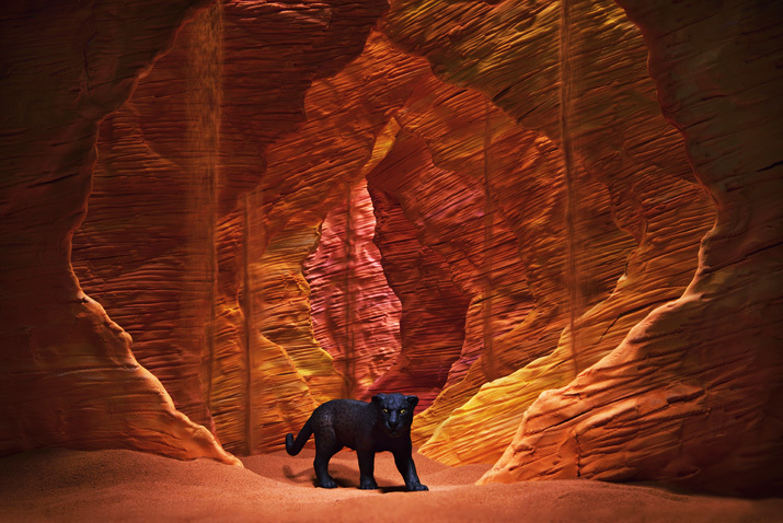 海の谷(Sea valley)の黒豹/ブラックパンサー(Black panther)_b0175635_00023231.jpg