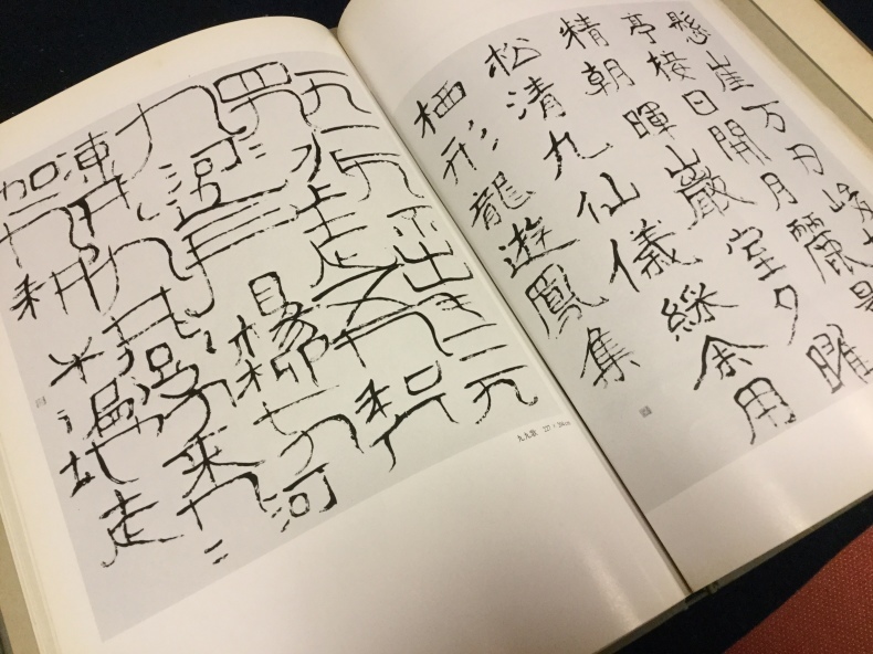 章子のこと_f0389753_04530835.jpeg