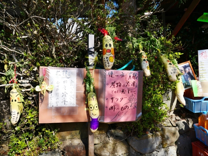 　　南部梅林　　コロナが流行りかけた５年前の２月の記事と写真です。_b0093754_22521638.jpg