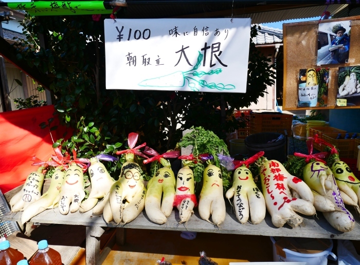 　　南部梅林　　コロナが流行りかけた５年前の２月の記事と写真です。_b0093754_22522818.jpg