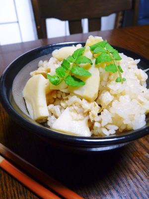 幻の白い「長生たけのこ」 冬の伐採作業で“たけのこ畑”を作り上げます!「干したけのこ」大好評販売中!_a0254656_16403164.jpg