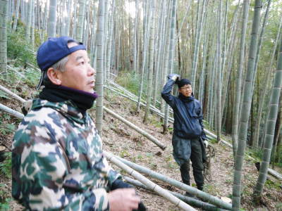 幻の白い「長生たけのこ」 冬の伐採作業で“たけのこ畑”を作り上げます!「干したけのこ」大好評販売中!_a0254656_17180222.jpg