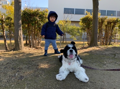 呼吸する家 Y様邸_b0185592_17565053.jpg