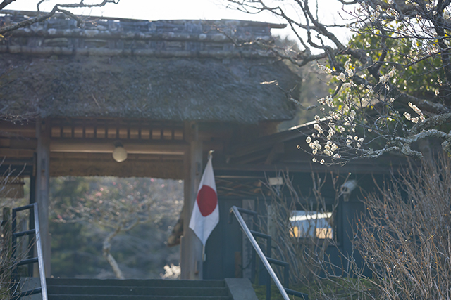 北鎌倉の梅_b0145398_23535668.jpg