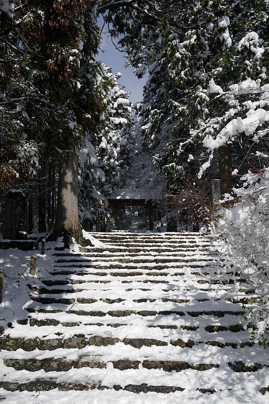 寒波到来！待望の雪景色@常照皇寺　其の二_f0032011_14582306.jpg