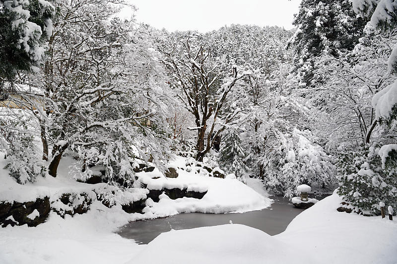 寒波到来！待望の雪景色@常照皇寺　其の二_f0032011_14582415.jpg