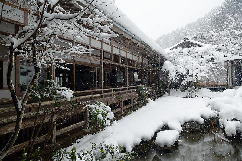 寒波到来！待望の雪景色@常照皇寺　其の二_f0032011_15030515.jpg