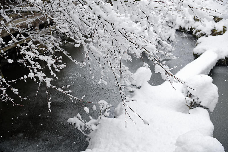 寒波到来!待望の雪景色@常照皇寺 其の二_f0032011_15030518.jpg
