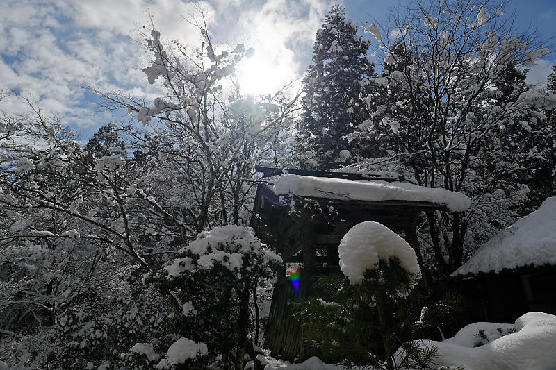 寒波到来！待望の雪景色@常照皇寺　其の二_f0032011_15051111.jpg