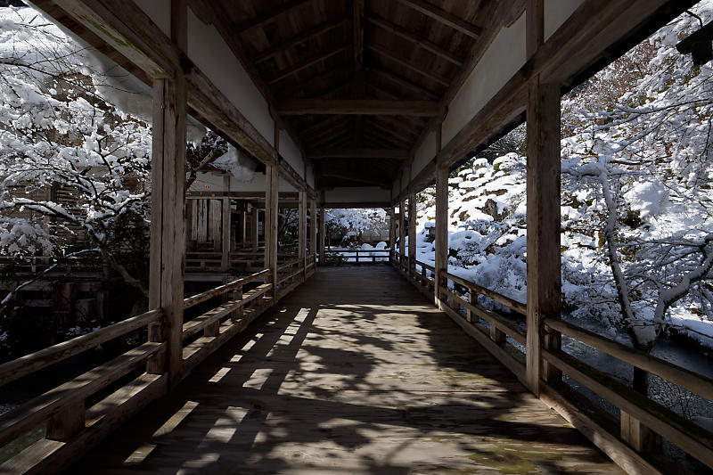 寒波到来！待望の雪景色@常照皇寺　其の二_f0032011_15051132.jpg