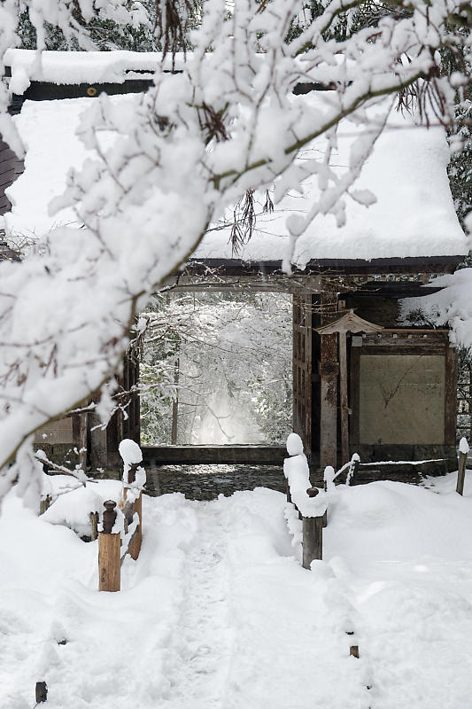 寒波到来！待望の雪景色@常照皇寺　其の二_f0032011_15051155.jpg