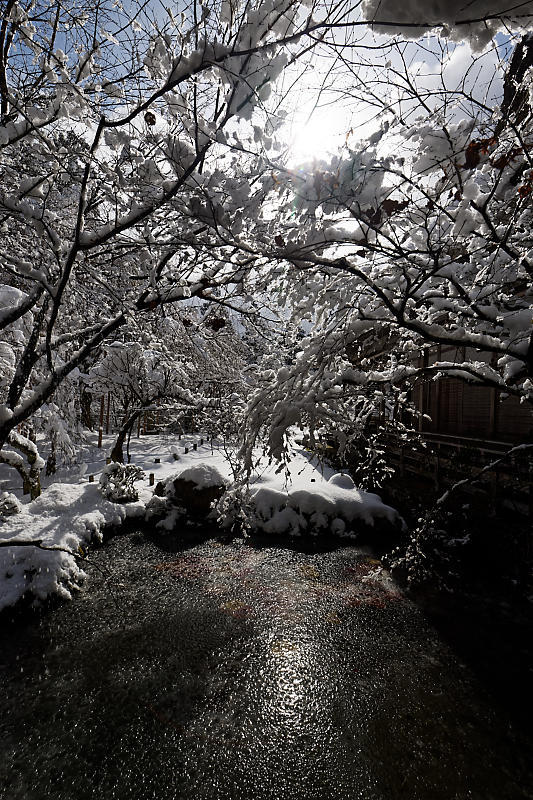 寒波到来！待望の雪景色@常照皇寺　其の二_f0032011_15051179.jpg