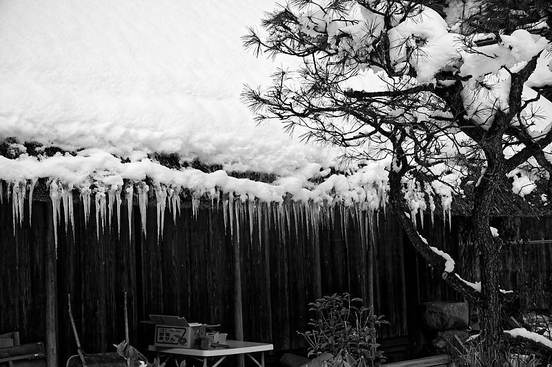 再びの雪景色!@久多_f0032011_16364850.jpg