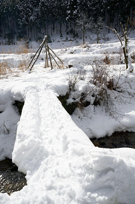 再びの雪景色!@久多_f0032011_16364894.jpg