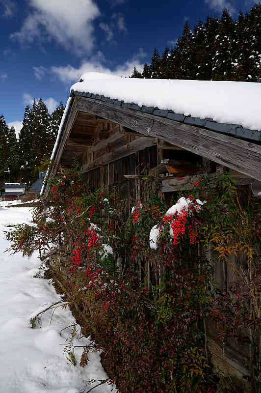 再びの雪景色!@久多_f0032011_16385540.jpg