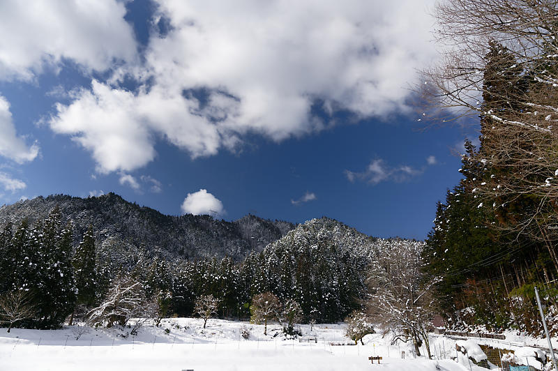 再びの雪景色!@久多_f0032011_16385633.jpg