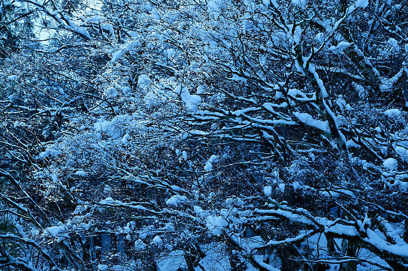 再びの雪景色!@久多_f0032011_16432048.jpg