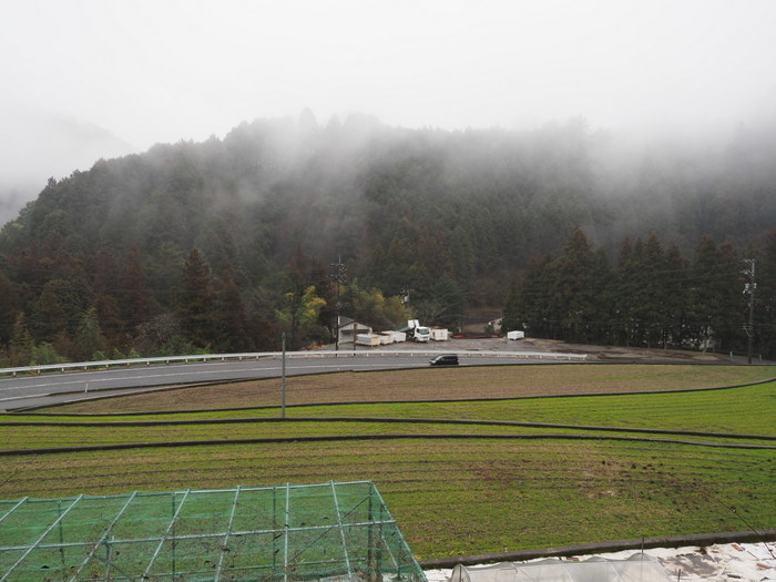 雨のち曇り（山に霧）_c0116915_23183091.jpg