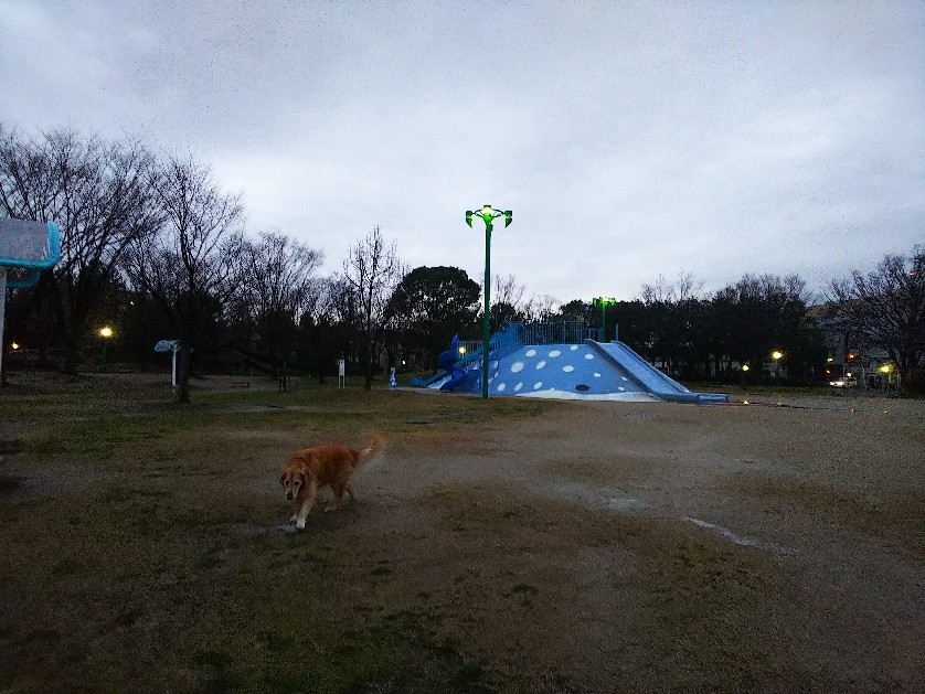 日曜日_a0098418_22241103.jpg