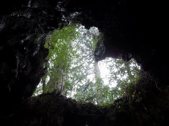 屋久島　白谷雲水峡から辻峠を越えてウィルソン株へ　　　　　Shirataniunsuikyo in Yakushima National Park_f0308721_04510570.jpg