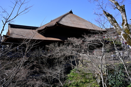 ”美”合気道「美と美」「美と美と美」「美と美と美と美と美」「美人美人」「自然の美と美」_f0033831_08051615.jpg