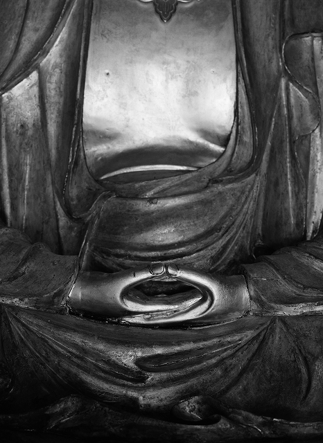 ACROSⅡ 企画展 和美 Katachi 相原正明写真展 Day2 大入り満員_f0050534_07380796.jpg