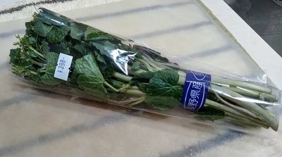 花わさび他 うまこの天袋 花わさび他 うまこの天袋