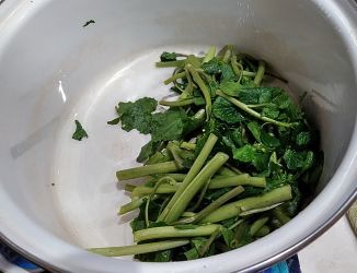 花わさび他 うまこの天袋 花わさび他 うまこの天袋