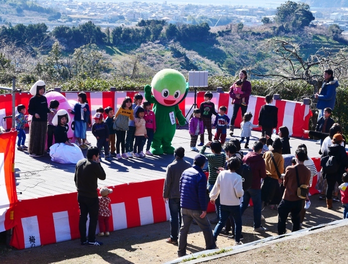 　　和歌山・みなべの梅林　２　　２０２０-０２-１９　００：００_b0093754_21164467.jpg