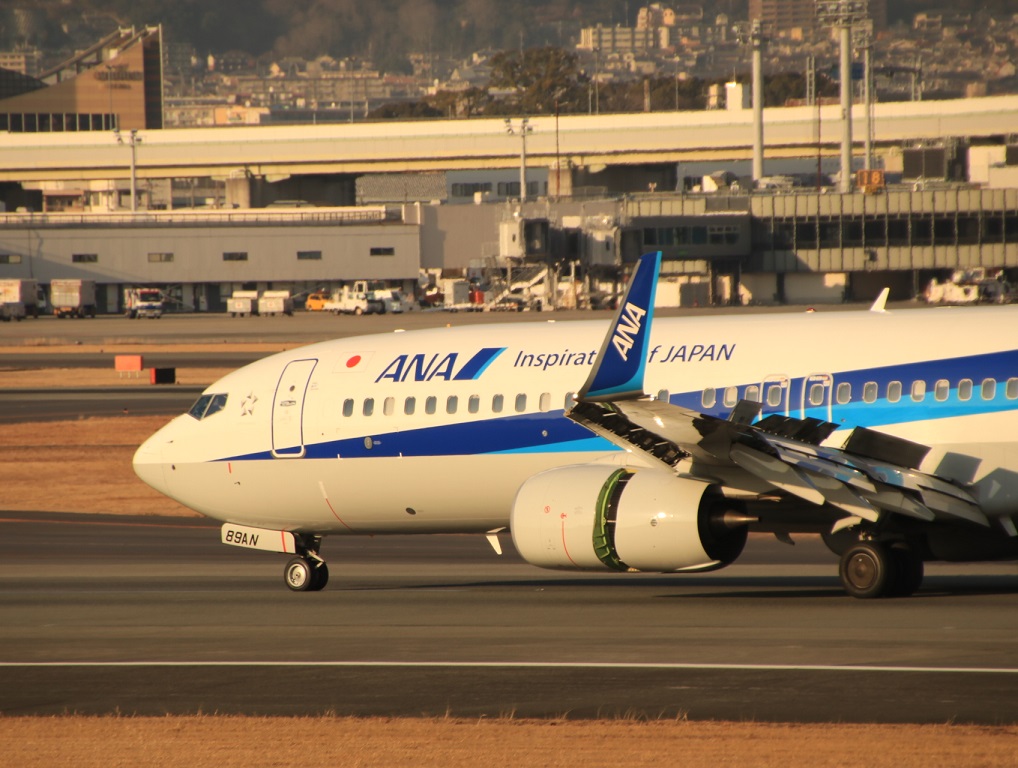 伊丹スカイパーク ANAウイングス B737-800_d0202264_4163372.jpg