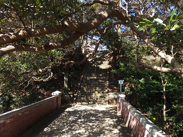 ついに猿田神社へ。森の力と、独特で不思議な世界・・・ (2/11)_b0006870_739467.jpg