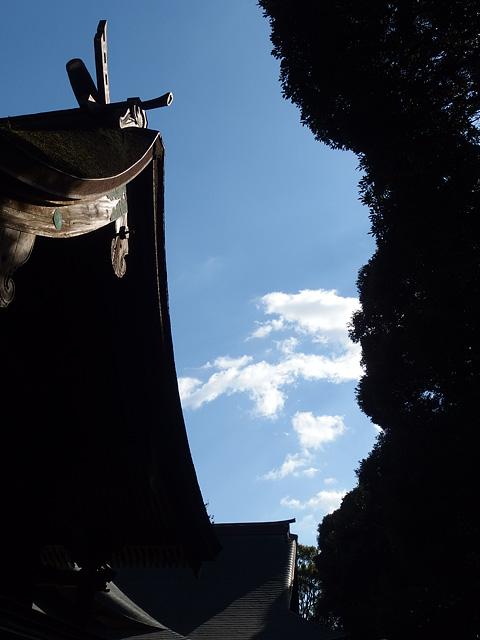 ついに猿田神社へ。森の力と、独特で不思議な世界・・・ (2/11)_b0006870_7394778.jpg