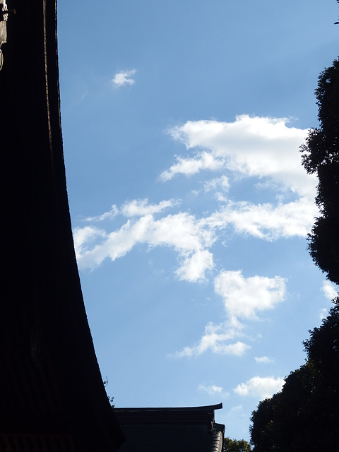 ついに猿田神社へ。森の力と、独特で不思議な世界・・・ (2/11)_b0006870_7395952.jpg