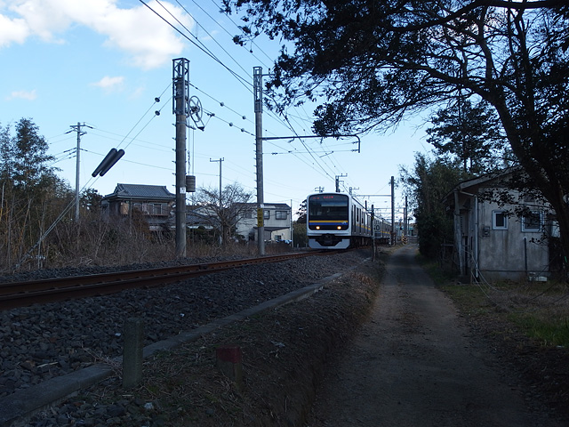 ついに猿田神社へ。森の力と、独特で不思議な世界・・・ (2/11)_b0006870_7412064.jpg