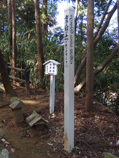 ついに猿田神社へ。森の力と、独特で不思議な世界・・・ (2/11)_b0006870_7414094.jpg