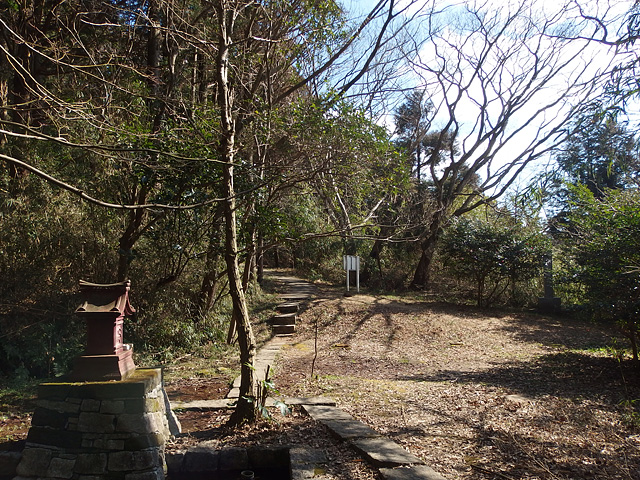 ついに猿田神社へ。森の力と、独特で不思議な世界・・・ (2/11)_b0006870_7425100.jpg
