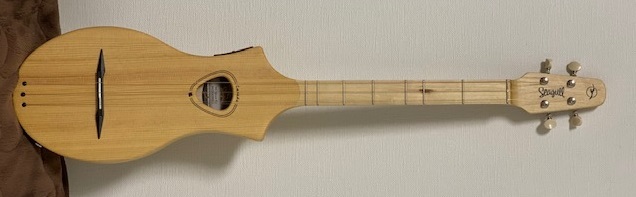 Godin Seagull 4弦 M4 ダルシマー シーガル | www.victoriartilloedm.com