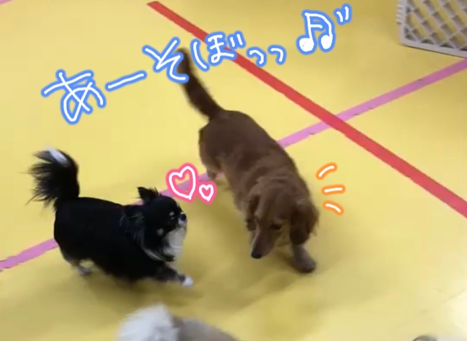 暖か~🌸_f0357682_01470070.jpg