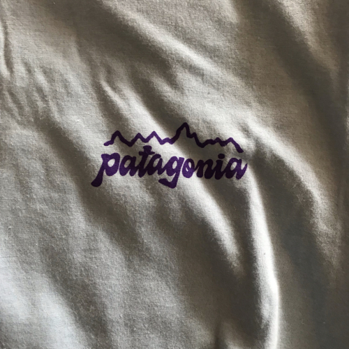 patagonia boy\'s organic ロンT_e0357389_14141273.jpg