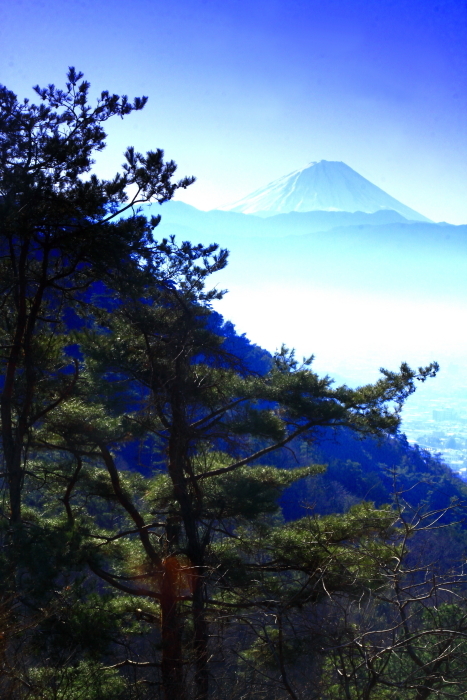 令和2年2月の富士　(8)　甲府盆地越しの富士_e0344396_10482007.jpg