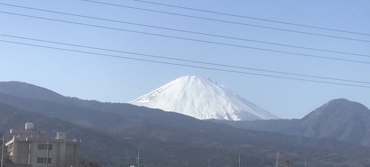 帰りもロマンスカー。_c0212604_15561447.jpg
