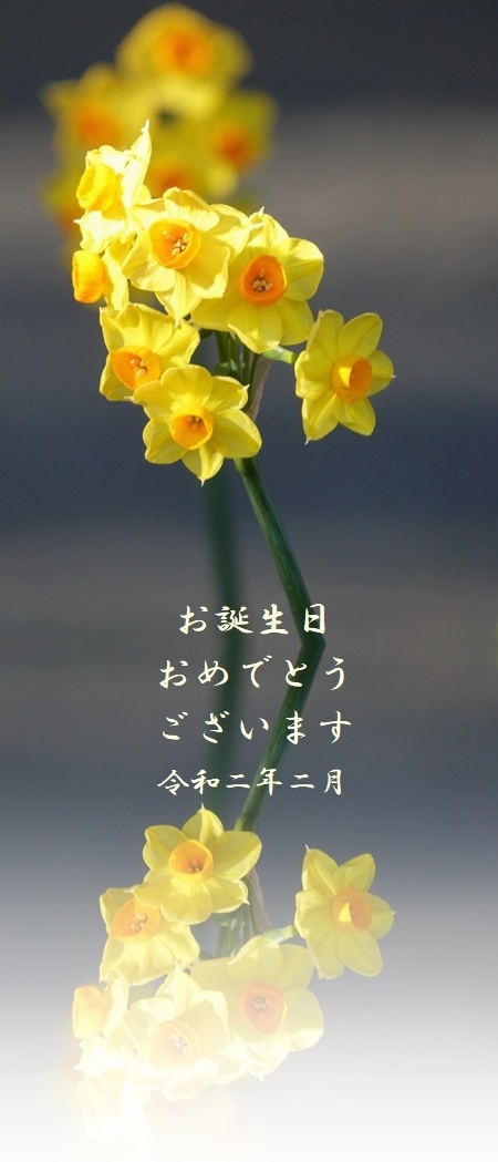 2月生まれの皆様へ お誕生日カードをどうぞ シマエナガ 梅 水仙 2 16 むっちゃんの花鳥蝶風月 鳥 猫 花 空 山